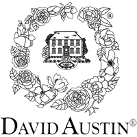 David Austin