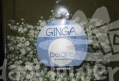 ginga